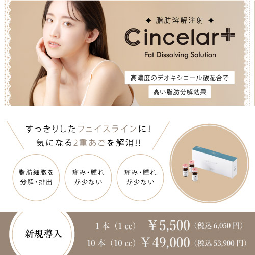 チンセラプラス
