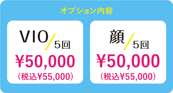 VIO5回5万円、顔5回5万円(税込5.5万円)