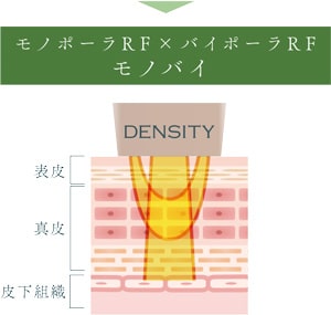 モノバイチップ